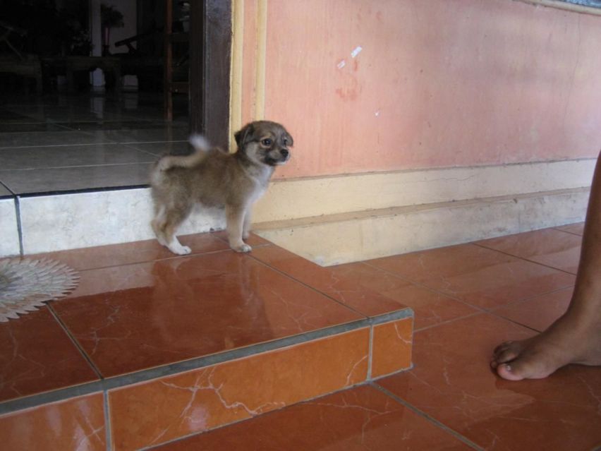 Bunaken, Indonesia Photos