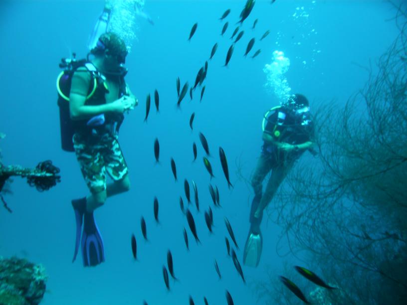 Underwater Togean Islands, Indonesia