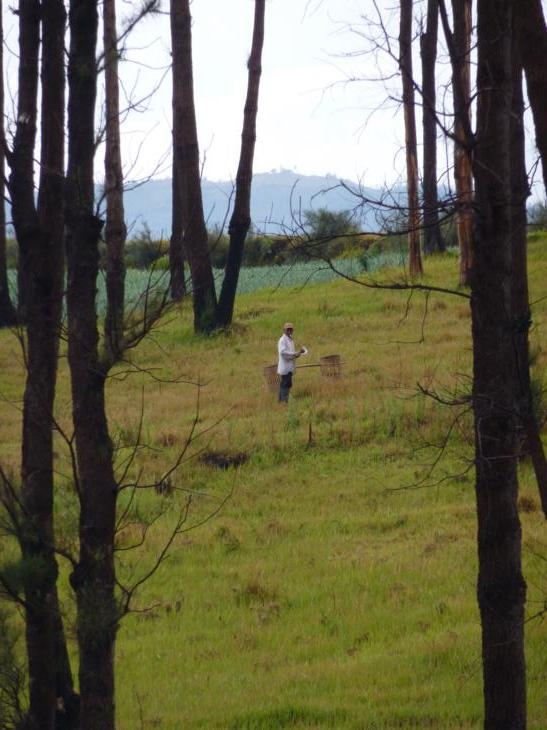 Mt. Bromo, Indonesia
