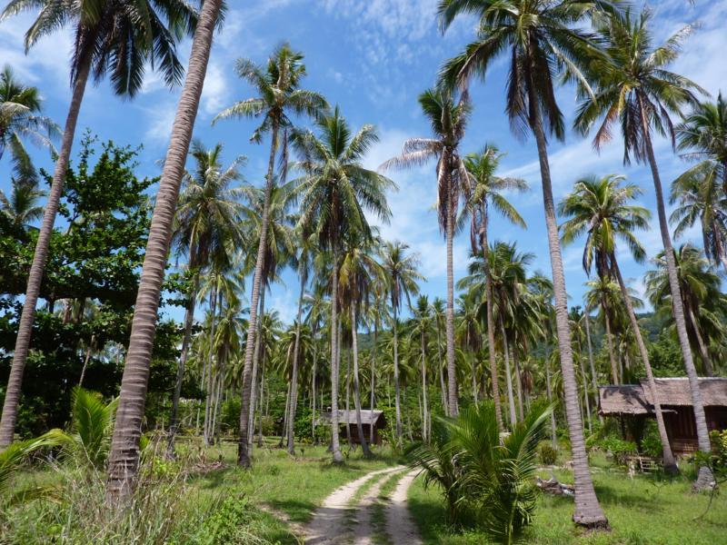 Koh Phan Ngan, Thailand