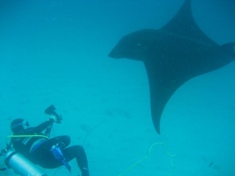 Komodo: The First Dive