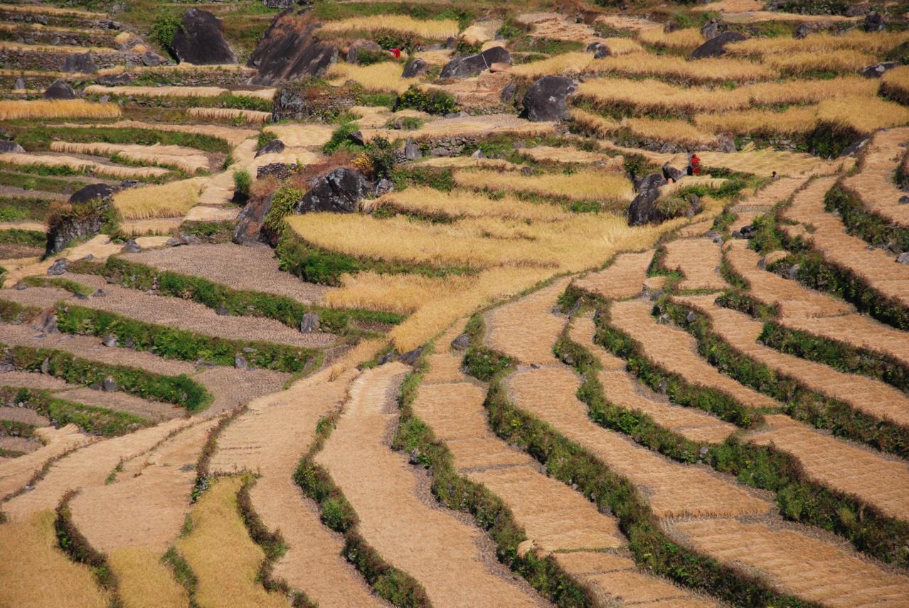 Annapurna Circuit – Part 1