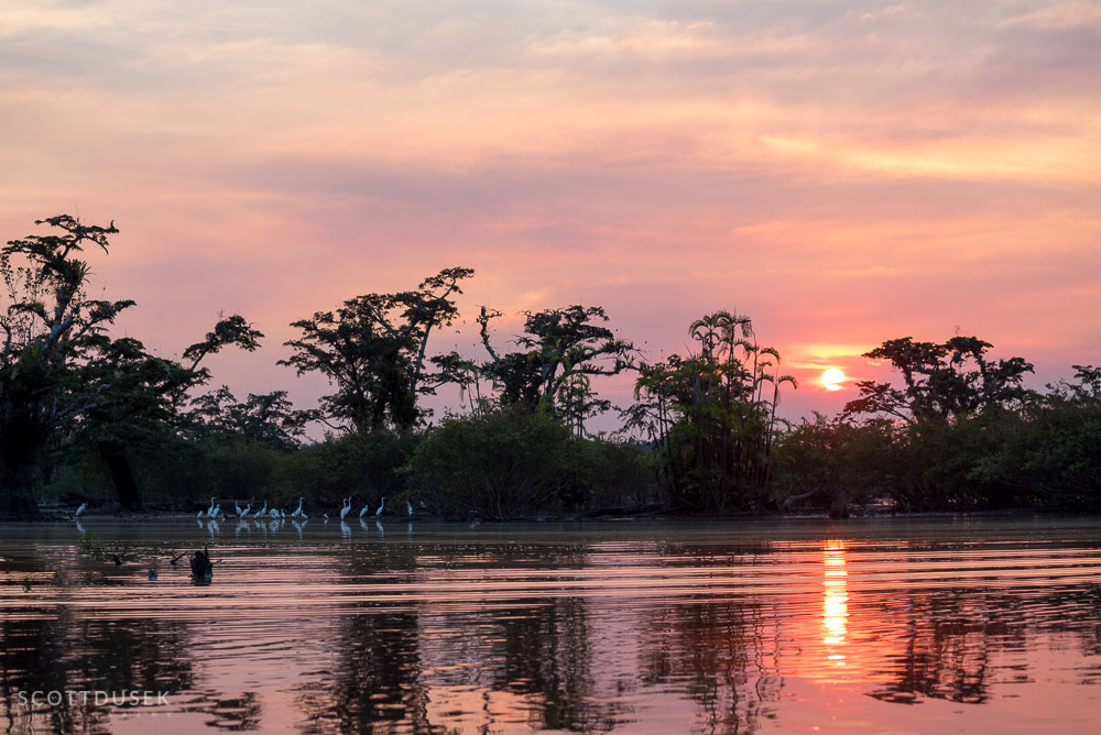 The Amazon, Ecuador