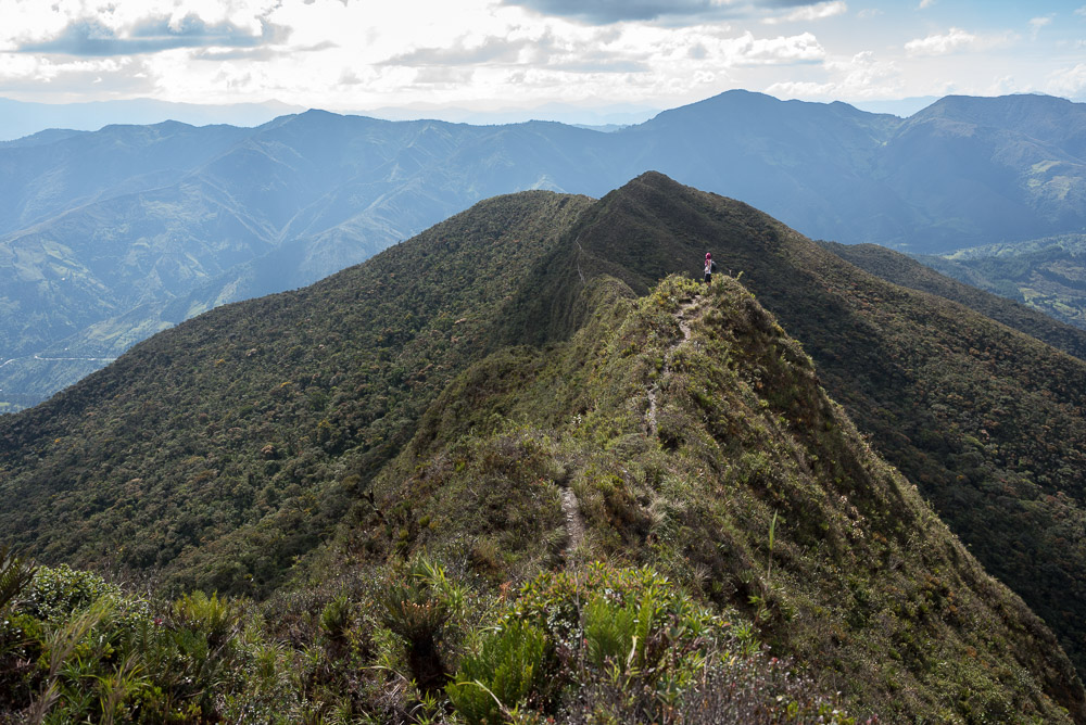 Parque Nacional Podocarpus, Ecuador