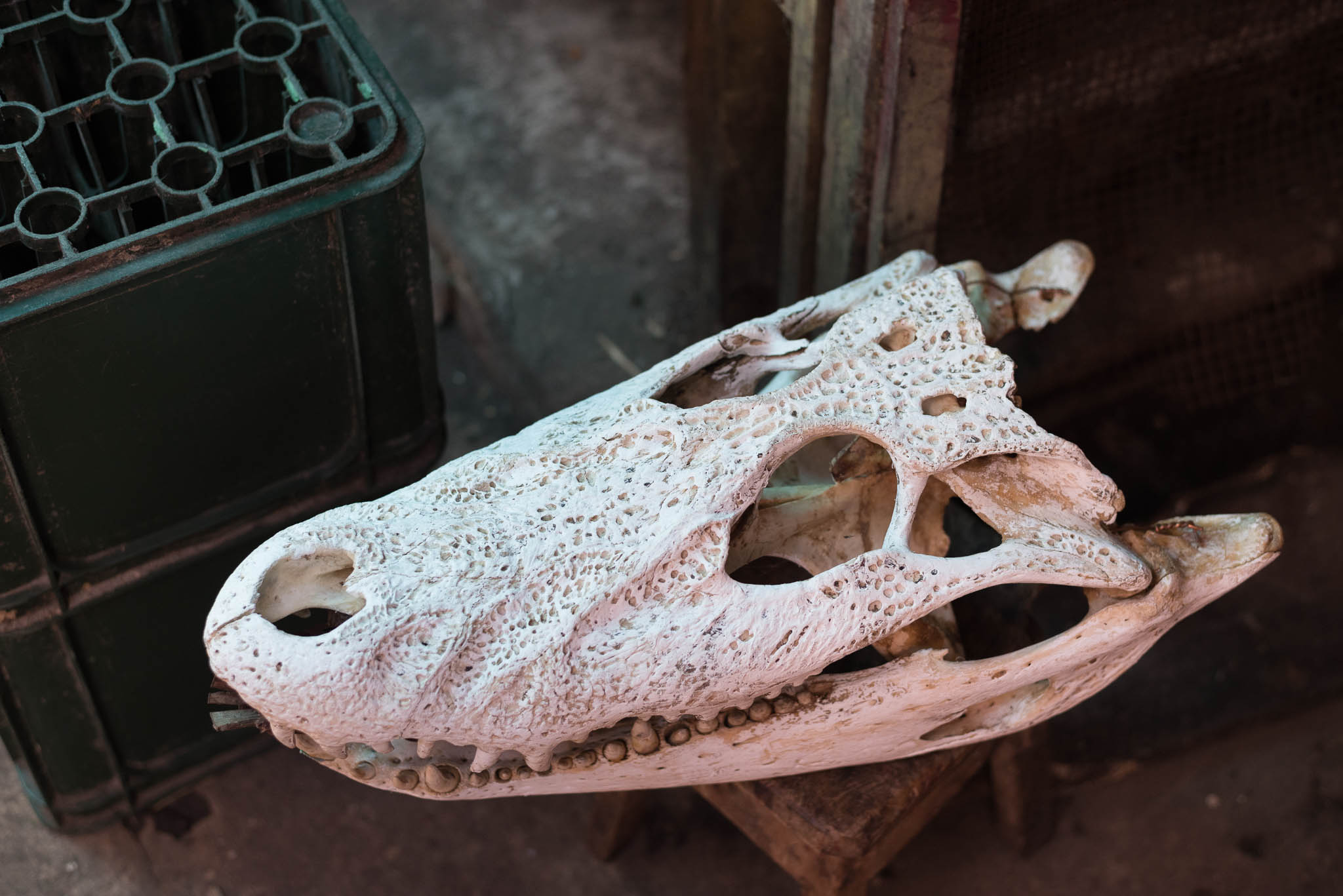 Iquitos: Goodbye Peru