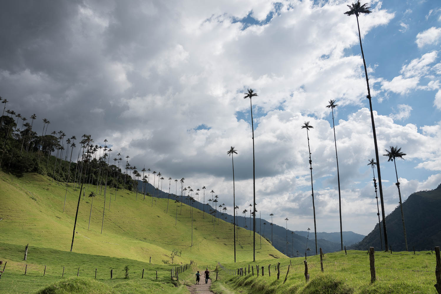 Valle de Cocora, Colombia